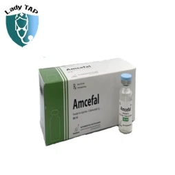 Amcefal 2g Amvipharm - Điều trị nhiễm khuẩn đường hô hấp