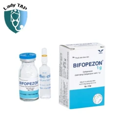 Bicefzidim 1g Bidiphar - Điều trị Nhiễm trùng huyết