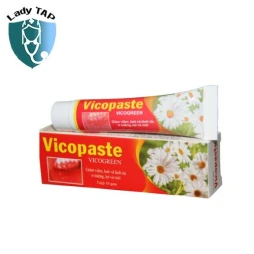 Vicopaste 10g Bibopharma - Hỗ trợ giảm nhiệt miệng