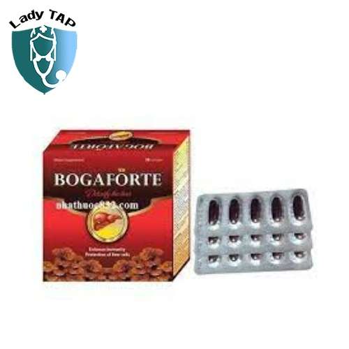 Bogaforte Plus Nacophar - Tăng cường chức năng gan hiệu quả