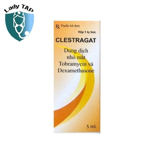 Thuốc nhỏ mắt Clestragat 5ml - Điều trị triệu chứng viêm mũi dị ứng dai dẳng