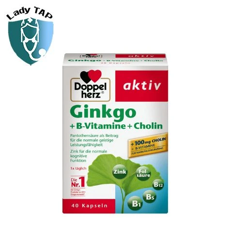 Gink Choline Q09 Queisser Pharma - Giúp tăng cường trí nhớ