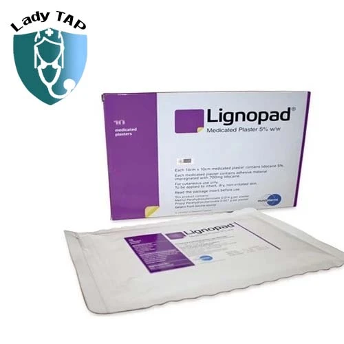 Lignopad Medicated Plaster 5% Telkoku - Giúp giảm đau