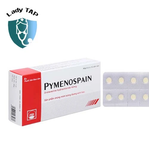  Pymenospain 40mg - Thuốc điều trị cơ trơn co thắt của Pymepharco