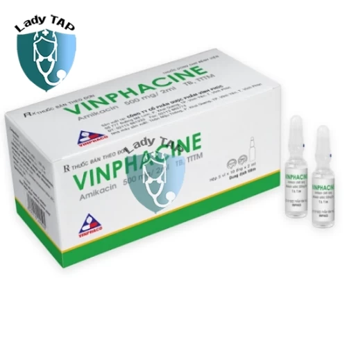 Vinphacine 500mg/2ml Vinphaco - Thuốc kháng sinh điều trị nhiễm khuẩn