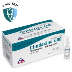 Clindacine 600 mg - Thuốc đièu trị nhiễm nấm tổng hợp hiệu quả