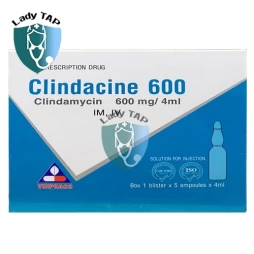 Clindacine 600 mg - Thuốc đièu trị nhiễm nấm tổng hợp hiệu quả