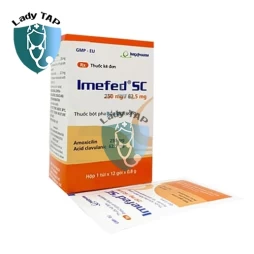 Imefed SC 250mg/62,5mg IMEXPHARM - Điều trị nhiễm trùng đường hô hấp trên và dưới