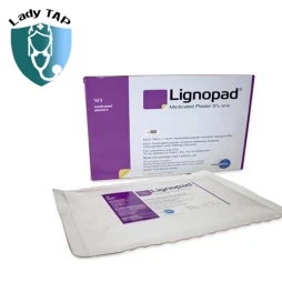 Lignopad Medicated Plaster 5% Telkoku - Giúp giảm đau