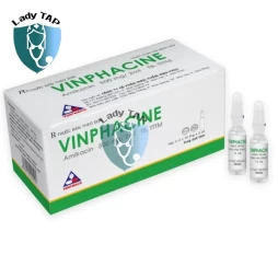 Vinphacine 500mg/2ml Vinphaco - Thuốc kháng sinh điều trị nhiễm khuẩn